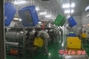 企业家访谈 披荆斩棘的长期主义者，从中试装置到毛孩子幸福——四问乖宝董事长秦华